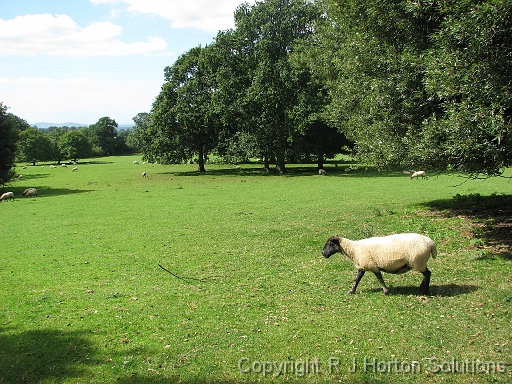 Hidcote The View_1